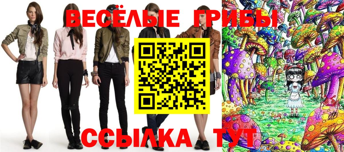 Псилоцибиновые грибы MAGIC MUSHROOMS Прокопьевск
