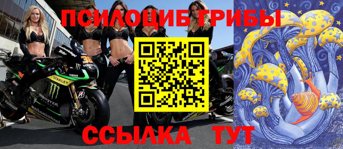 Галлюциногенные грибы мицелий  Псилоцибиновые грибы Cubensis  Прокопьевск  дарнет шоп  Вход с VPN 